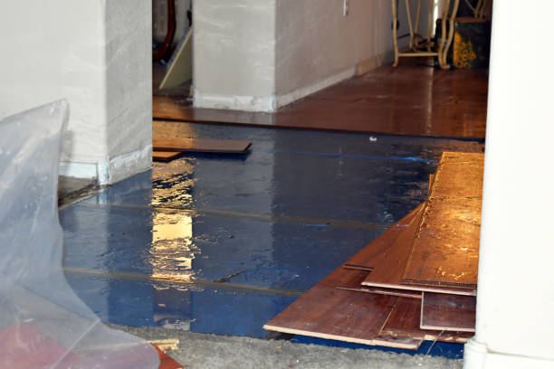Professional Basement Water Removal technician working in Round Rock, TX